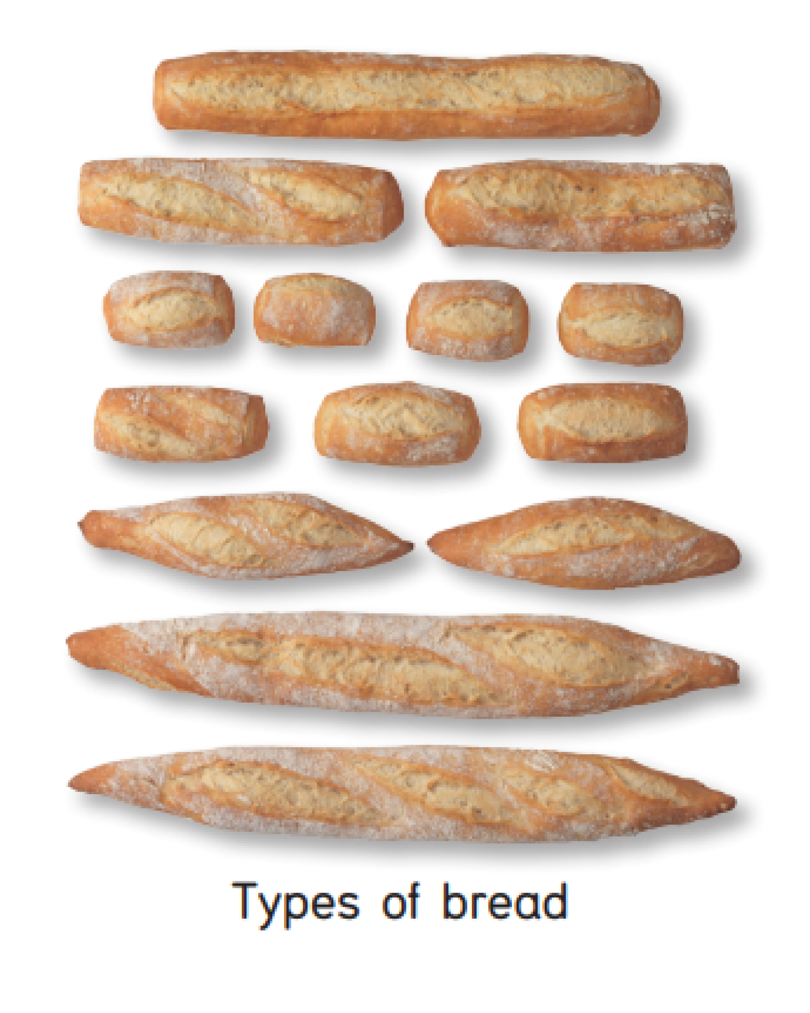 Ciabatta Production Line + Rustic Bread Moulder (Zelaieta)